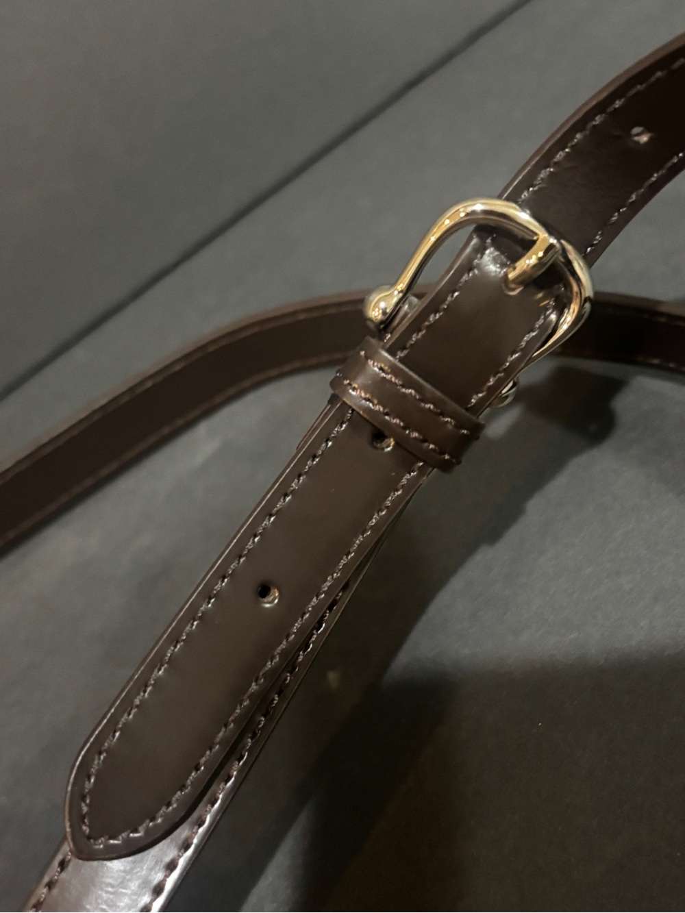 Burberry Chocolate Brown Micro Convertible Belt Bag Crossbody - Picture 13 of 14